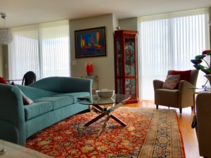 Let the Sun Shine In 4 Living room luminette Evanston 2016 300x225 2