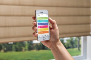 Fall Prevention 101: Helping Seniors Safely Age in Place 5 2016 PIR PV SatinMetallic iPhoneApp Detail 1 300x200 1