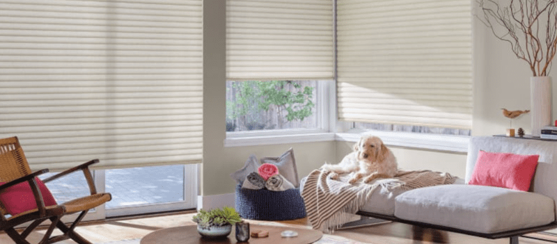 Window Treatments for Large Windows 5 sonnette smart shades v2 800x351 1